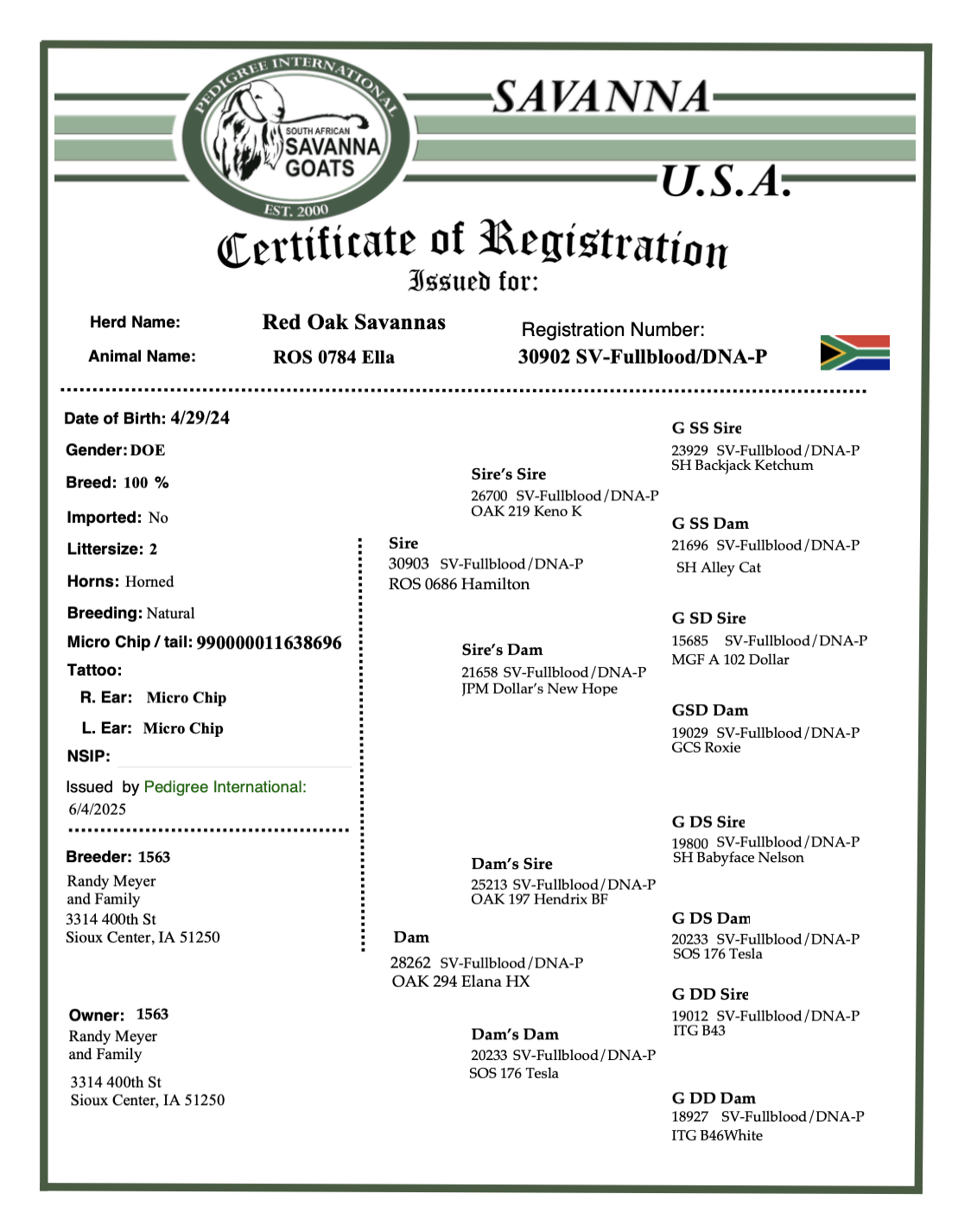 Screenshot 2025-07-07 at 10.34.39 AM